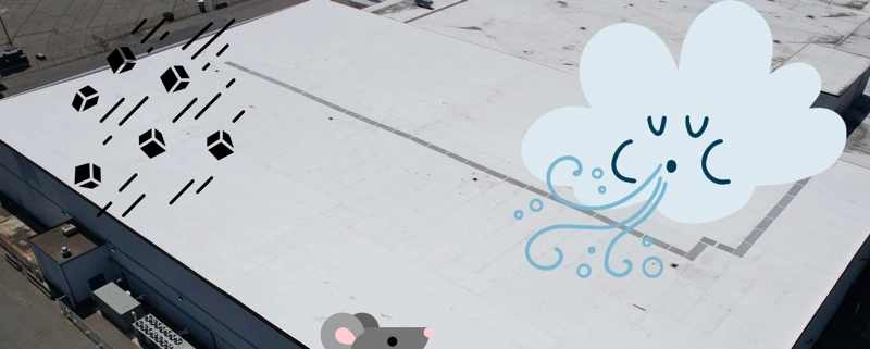 Why Maintenance Matters