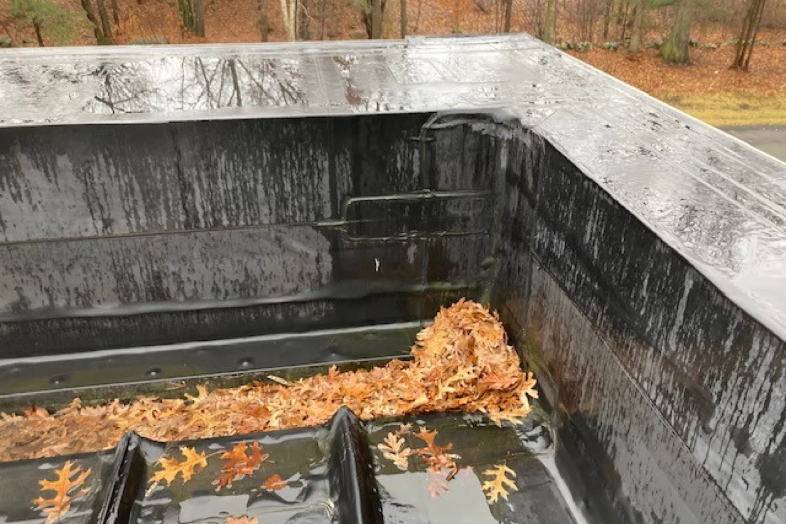 Commercial gutter full of leaves in need of cleaning